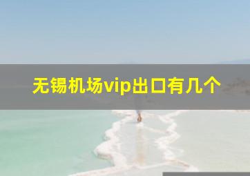 无锡机场vip出口有几个