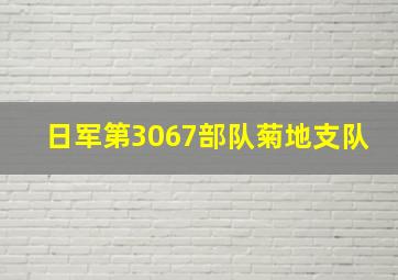 日军第3067部队菊地支队