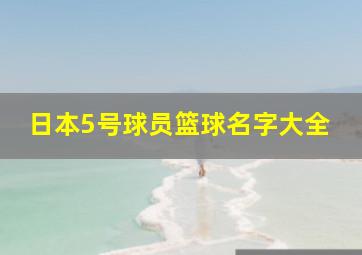 日本5号球员篮球名字大全