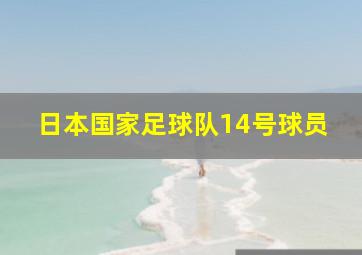 日本国家足球队14号球员