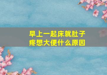 早上一起床就肚子疼想大便什么原因