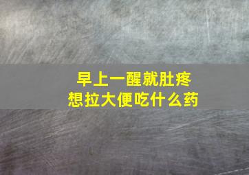 早上一醒就肚疼想拉大便吃什么药