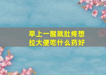 早上一醒就肚疼想拉大便吃什么药好