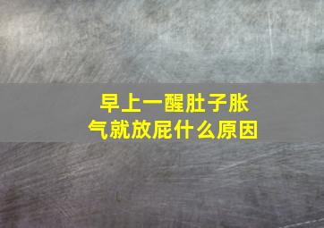 早上一醒肚子胀气就放屁什么原因