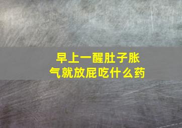 早上一醒肚子胀气就放屁吃什么药