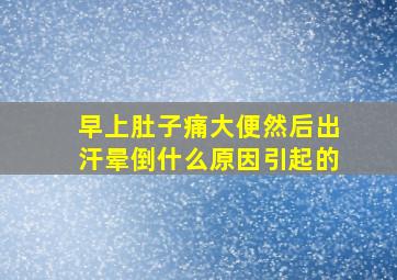 早上肚子痛大便然后出汗晕倒什么原因引起的