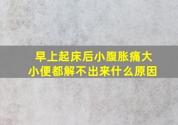 早上起床后小腹胀痛大小便都解不出来什么原因