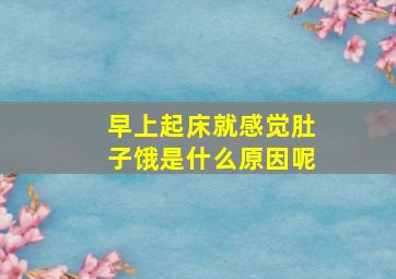 早上起床就感觉肚子饿是什么原因呢