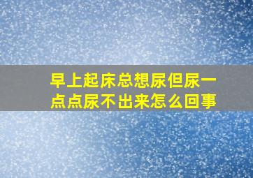 早上起床总想尿但尿一点点尿不出来怎么回事