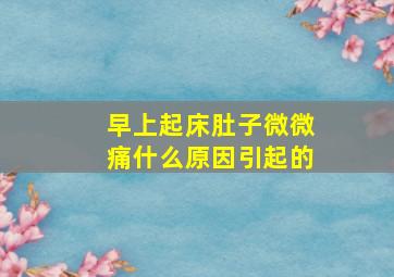 早上起床肚子微微痛什么原因引起的