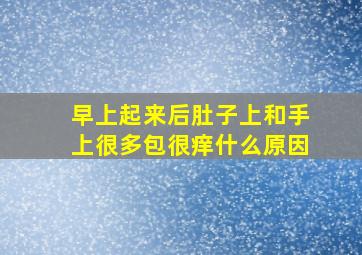 早上起来后肚子上和手上很多包很痒什么原因