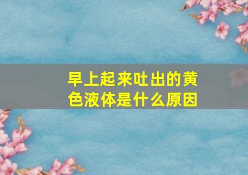 早上起来吐出的黄色液体是什么原因