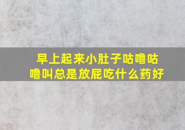 早上起来小肚子咕噜咕噜叫总是放屁吃什么药好