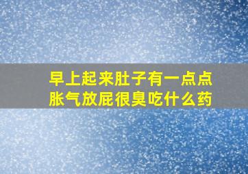 早上起来肚子有一点点胀气放屁很臭吃什么药