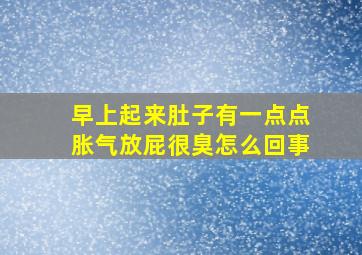 早上起来肚子有一点点胀气放屁很臭怎么回事