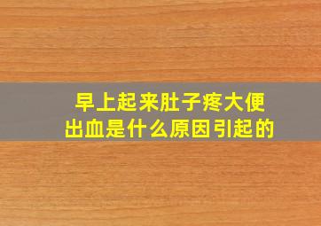 早上起来肚子疼大便出血是什么原因引起的