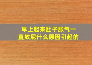 早上起来肚子胀气一直放屁什么原因引起的