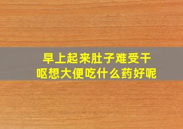 早上起来肚子难受干呕想大便吃什么药好呢