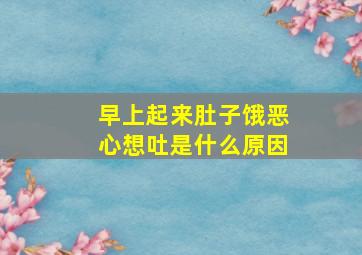 早上起来肚子饿恶心想吐是什么原因