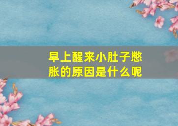 早上醒来小肚子憋胀的原因是什么呢