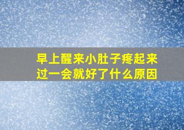 早上醒来小肚子疼起来过一会就好了什么原因