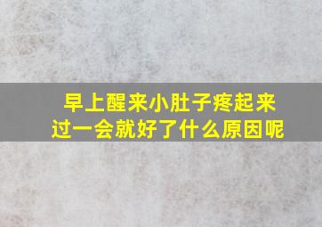 早上醒来小肚子疼起来过一会就好了什么原因呢