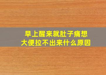 早上醒来就肚子痛想大便拉不出来什么原因