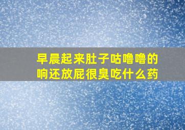 早晨起来肚子咕噜噜的响还放屁很臭吃什么药