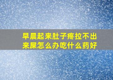 早晨起来肚子疼拉不出来屎怎么办吃什么药好