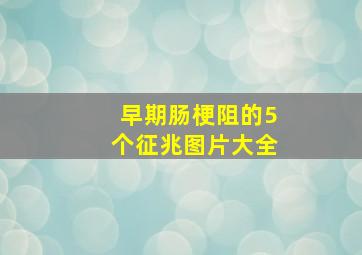 早期肠梗阻的5个征兆图片大全