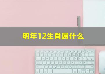 明年12生肖属什么