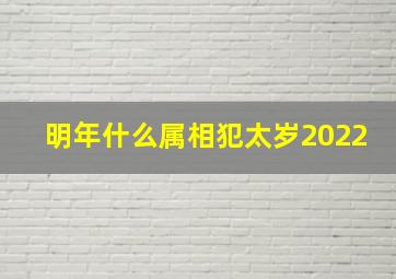 明年什么属相犯太岁2022