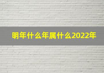 明年什么年属什么2022年