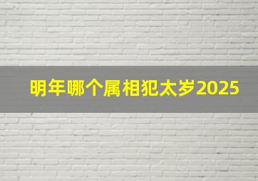 明年哪个属相犯太岁2025