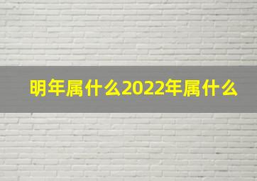 明年属什么2022年属什么