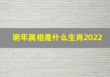 明年属相是什么生肖2022