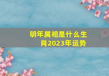 明年属相是什么生肖2023年运势