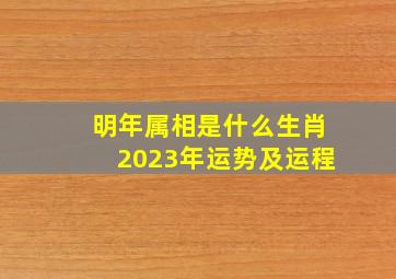 明年属相是什么生肖2023年运势及运程