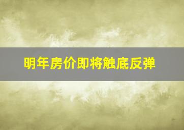 明年房价即将触底反弹