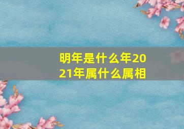 明年是什么年2021年属什么属相