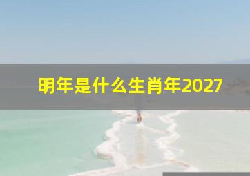 明年是什么生肖年2027