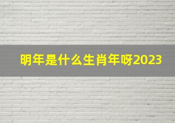 明年是什么生肖年呀2023