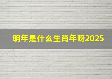 明年是什么生肖年呀2025