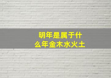 明年是属于什么年金木水火土