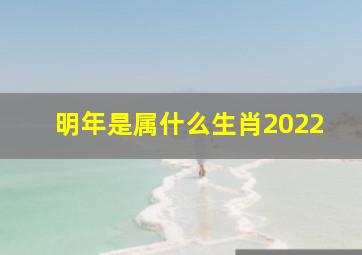 明年是属什么生肖2022