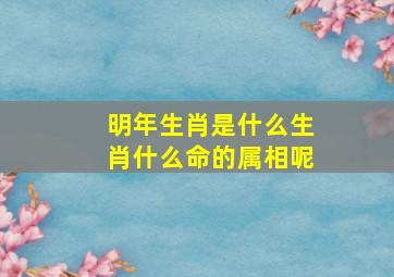 明年生肖是什么生肖什么命的属相呢