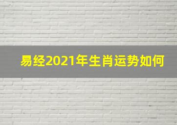 易经2021年生肖运势如何