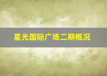 星光国际广场二期概况