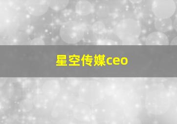 星空传媒ceo