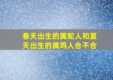 春天出生的属蛇人和夏天出生的属鸡人合不合